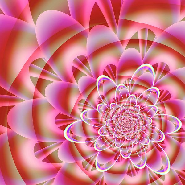 blühen - pink, rot, weiß von Claudia Gründler
