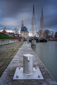 Hoorn