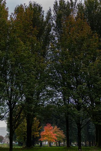 Zeewolde Flevoland van Robinotof