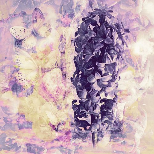 Der Frühling und die Hyazinthe... von Helga Blanke