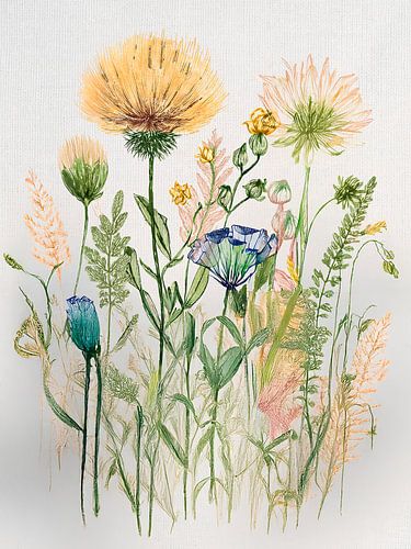 Botanische illustratie: Wilde bloemen en grassen in zachte tinten