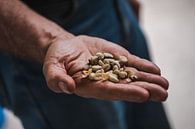 Coffee beans by Anahi Clemens thumbnail