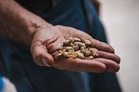 Coffee beans