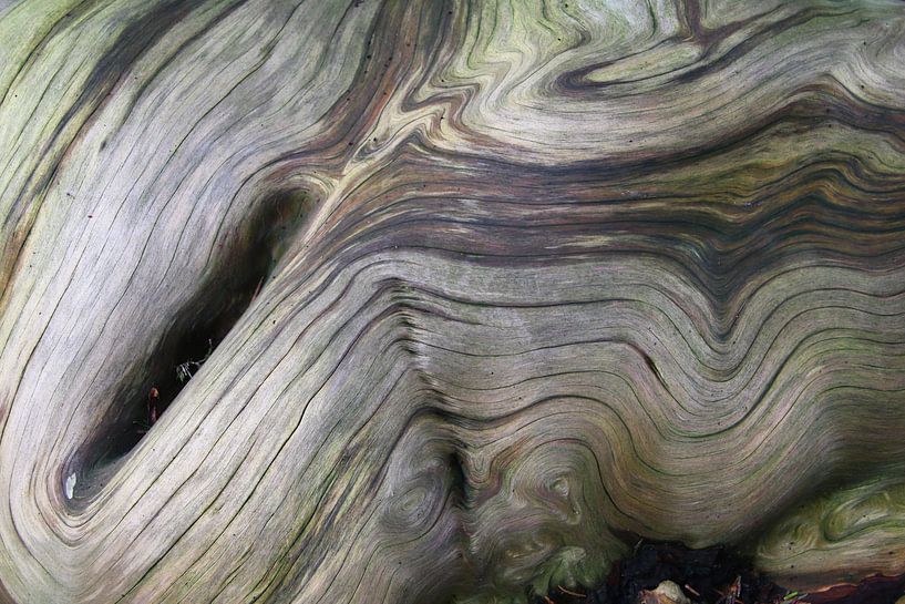 Wood grain contorted by Erick van Bommel