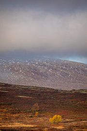 Mountain scenery in Norway in autumn by Andy Luberti