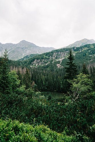 Tatra mountains Slovakia VII
