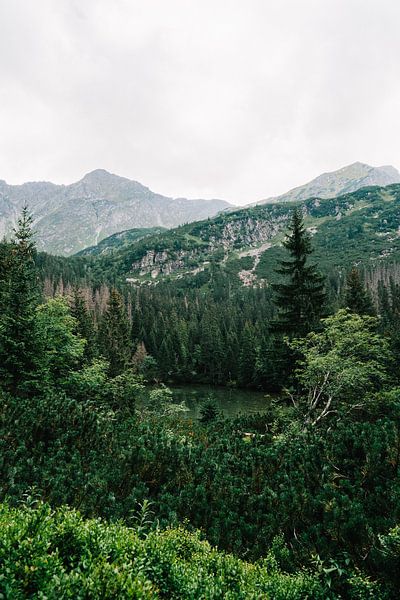 Tatra-Gebirge Slowakei VII von Suzanne Spijkers