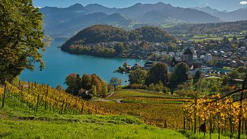 Uitzicht op Spiez in Zwitserland van Tanja Voigt