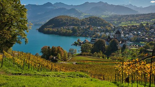Uitzicht op Spiez in Zwitserland