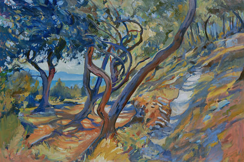 Stenen pad in een olijfgaard in Paxos