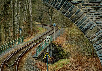 Erzgebirgische spoorlijn in Zschopau van Johnny Flash
