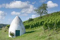 Wijngaard met trullo in Rheinhessen van Peter Eckert thumbnail