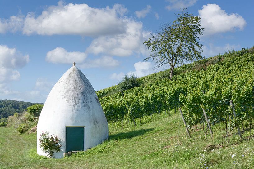 Wijngaard met trullo in Rheinhessen van Peter Eckert