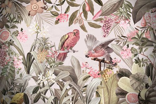 Cacatoès roses dans la forêt tropicale