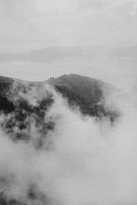 Nebliger Morgen in den Bergen Frankreichs von Holly Klein Oonk