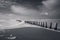 De Zee by Klaas Fidom thumbnail