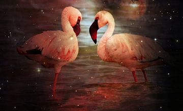 twee flamingo's in de lagune gemengde techniek van Werner Lehmann