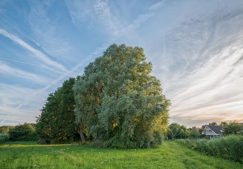 Between two cities by Jeffrey de Graaf