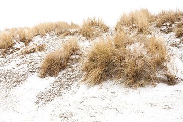 Ameland duinen in de sneeuw 03 van Everards Photography