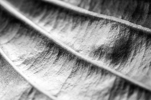 Connexion et direction