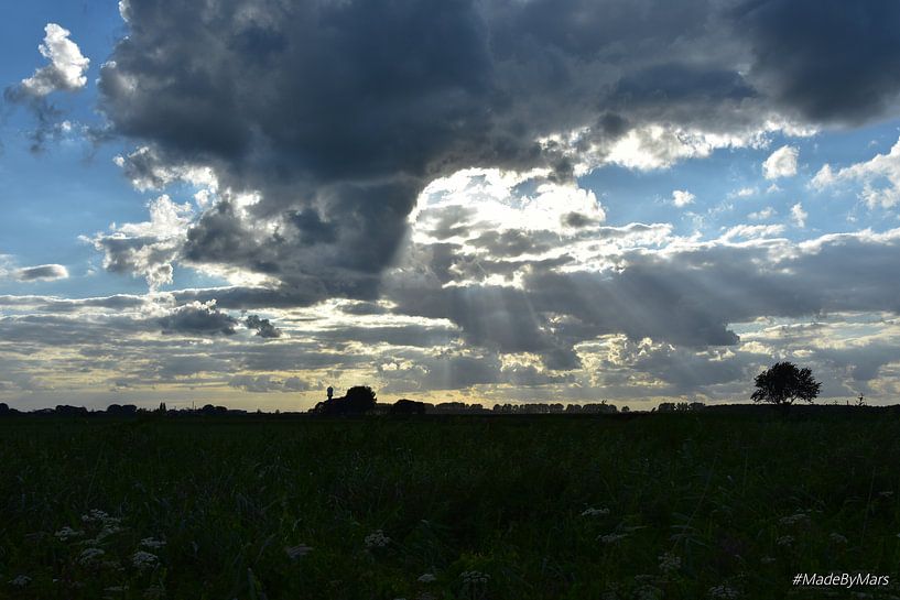 Rayons de soleil par MadeByMars