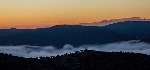 Landschap Andujar Spanje