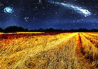 Starry Sky