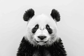 Panda in black and white