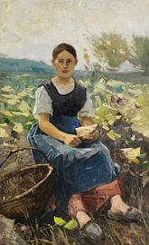 Kohlfeldmädchen, Karl Hagemeister