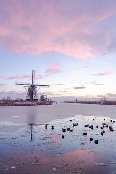 A winter morning at Kinderdijk