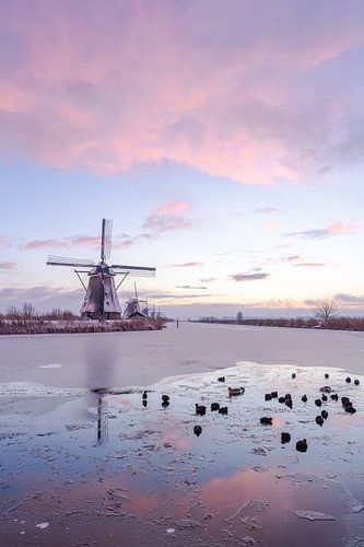 Ein Wintermorgen am Kinderdijk
