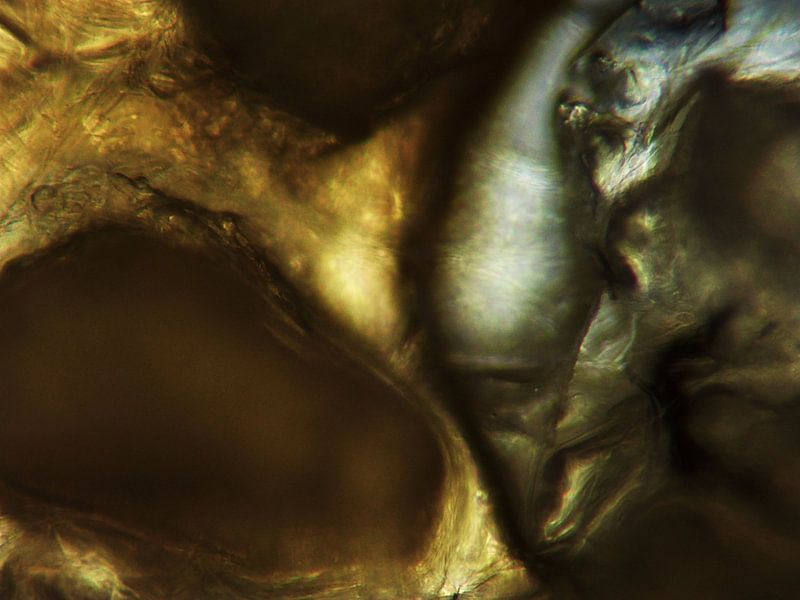 Les chips au poivre sous le microscope par Wijco van Zoelen