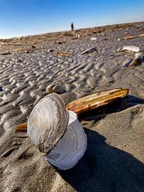 The Beach and Me by Truckpowerr