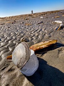 Der Strand und ich