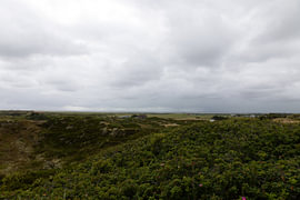 Photos de l'île de Langeoog, située en Frise orientale, dans la mer du Nord. sur Bianca Meyering Fotos - BMF