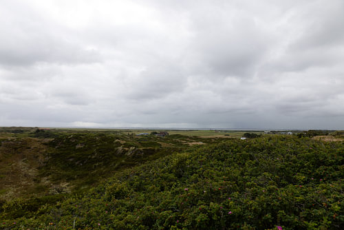 Foto's van het Oost-Friese Noordzee-eiland Langeoog.