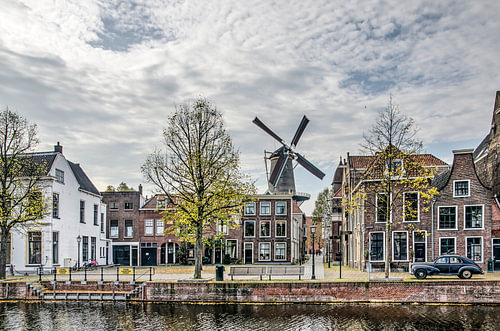 Fish market Schiedam