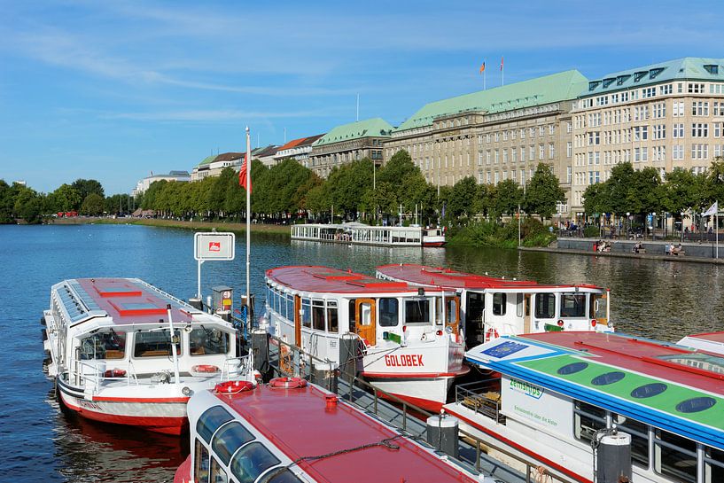 Hamburg - Sommer an der Alster von Gisela Scheffbuch