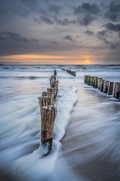 Sunset van Jolanda Bosselaar