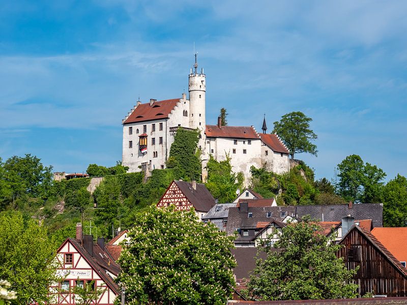 Burg Weinstein n Gößweinstein bij Forchheim in Beieren van Animaflora PicsStock