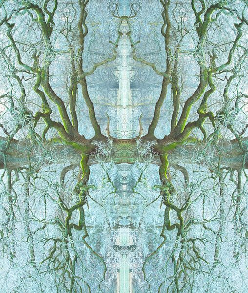 Eiskalter Winter von LANETfotografie