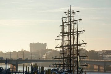 Watertoren, Schlachte, Weser, zeilschip, Bremen van Torsten Krüger