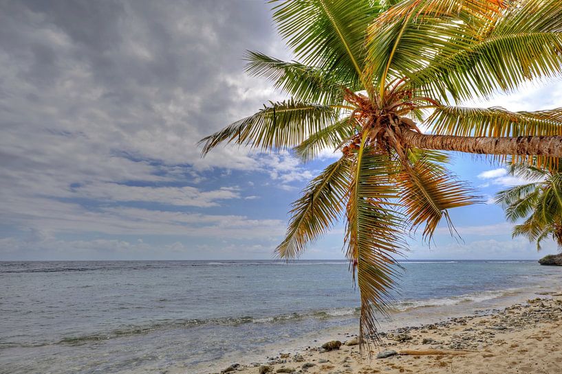 Am Strand von Fluch der Karibik Playa Fronton von Roith Fotografie