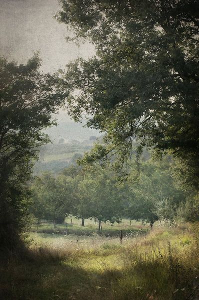 Summer by Dan Courtice
