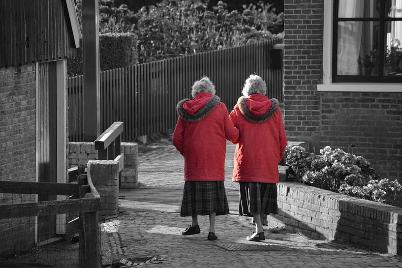 Twins by Laura van Slochteren