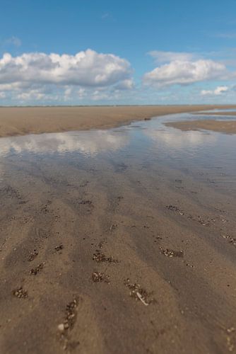 Vue sur la plage de la mer du Nord de Schiermonnikoog