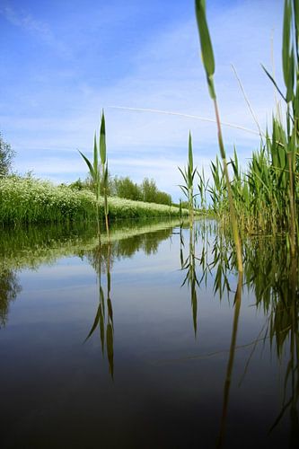 Zomaar een slootkant van Jelle Ursem