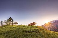 Zonsopgang op de alp van Marika Hildebrandt FotoMagie thumbnail
