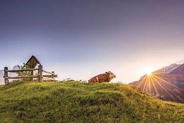 Lever du soleil sur l'alpage sur Marika Hildebrandt FotoMagie