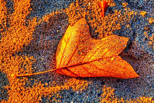 herfstblad